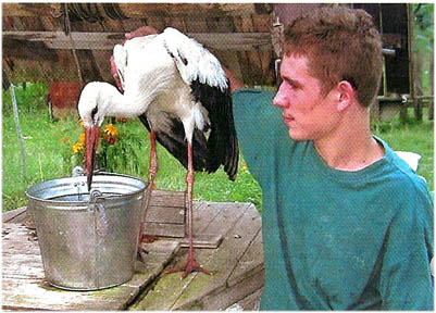 ���� �����