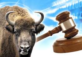 ���� ������� �������