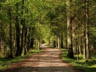 Фото с сайта sozh.by