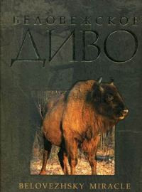 ������� ����������� �.�������<br> � �.������� '����������� ����'