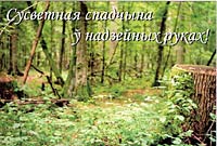 The card Congratulation with the Foresters' Day � click to enlarge in the new window