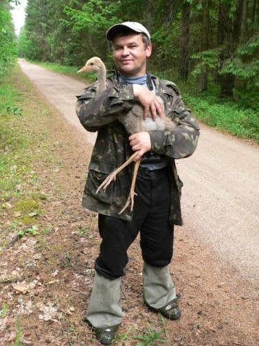 ������� ������ � ����������� ���� � ������� ������� 