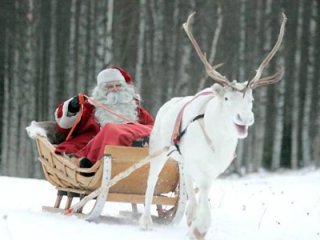 Фото с сайта ukranews.com
