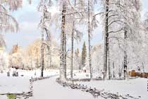 Фото Владимира Чеберкуса