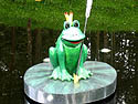 Princess Frog