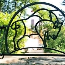 ���� ������� ���������