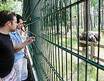 click to enlarge in the new window