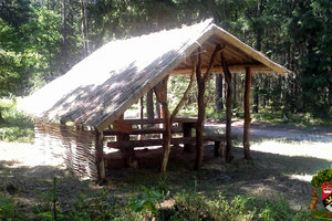 click to enlarge in the new window