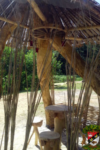 click to enlarge in the new window