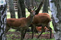 ��������� � ����� ����