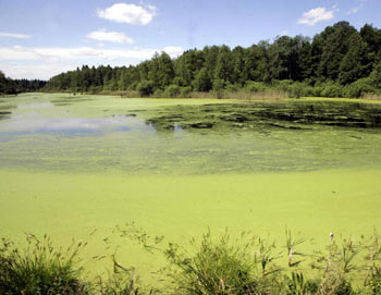 ����: JANEK SKARZYNSKI/AFP/Getty Images