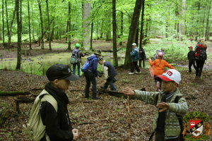 click to enlarge in the new window