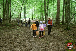 click to enlarge in the new window