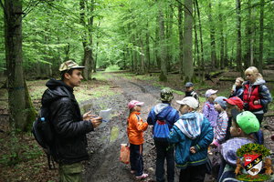 click to enlarge in the new window