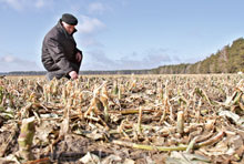 ���� ��������: �� ������� ����� �������� ���� �������