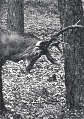 ����������� ����� ��������� � ��������� ������