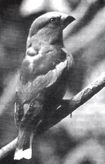 ��������� ����� ������� � ������ ������� ����� � �������� ��������