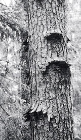 �������������   �����. ��������� ��� � ������