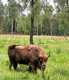 ���� interfax.by