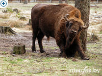 ��������� � ����� ����