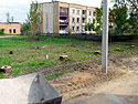 click to enlarge in the new window