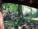 click to enlarge in the  
new window