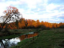 click to enlarge in the  
new window