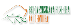 Belovezhskaya Pushcha - XXI century