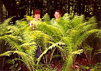 ���������� ����������