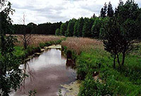 The Narevka River