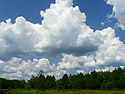 Click the small picture and download a photo of the big size, save it on the hard disk and then put it as the screen table photo