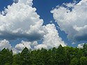 Click the small picture and download a photo of the big size, save it on the hard disk and then put it as the screen table photo
