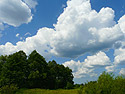 Click the small picture and download a photo of the big size, save it on the hard disk and then put it as the screen table photo