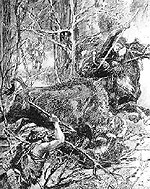 Hunting of King Jagiello