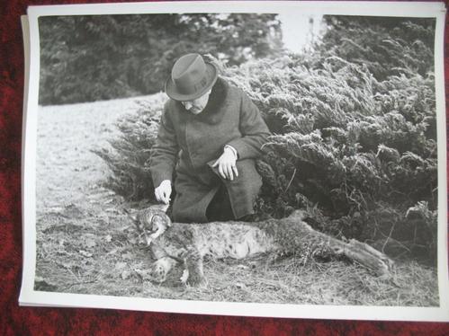 click to enlarge in the new window