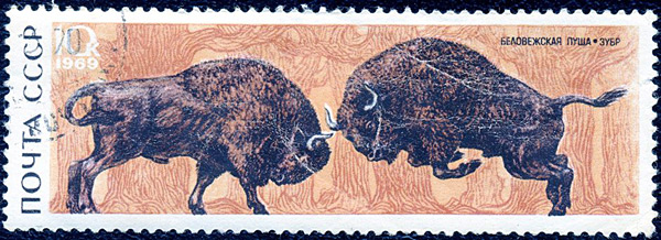 ��������� � ����� ����