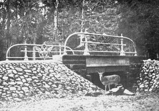 У моста на стратегическом шоссе в Беловежской пуще. 1900 г.
