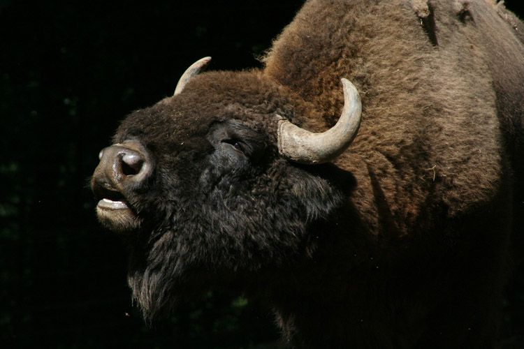 ��������� � ����� ����