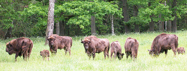 ��������� � ����� ����