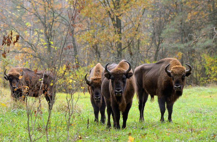 ��������� � ����� ����