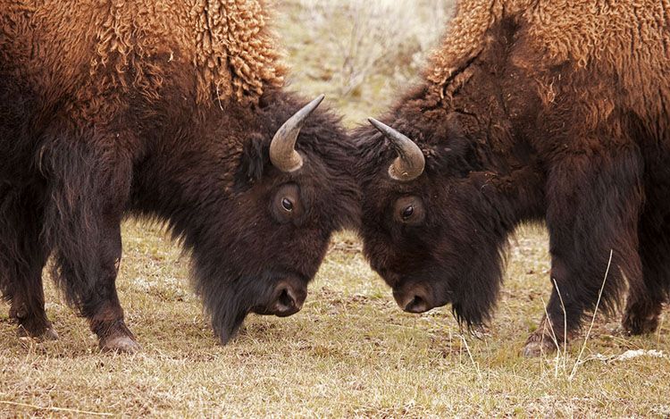 ��������� � ����� ����