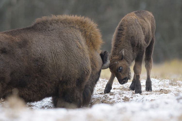 ��������� � ����� ����